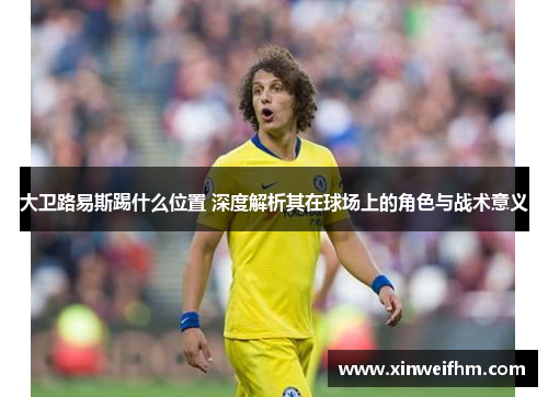 大卫路易斯踢什么位置 深度解析其在球场上的角色与战术意义 大卫路易斯踢什么位置 深度解析其在球场上的角色与战术意义